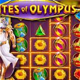 tradicional bet gates of olympus slot